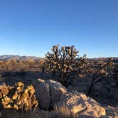 Review photo of Mojave Cross Dispersed — Mojave National Preserve by Jake , December 22, 2020