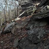 Review photo of Heavener Runestone Park by Donna H., December 22, 2020