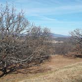 Review photo of Heavener Runestone Park by Donna H., December 22, 2020