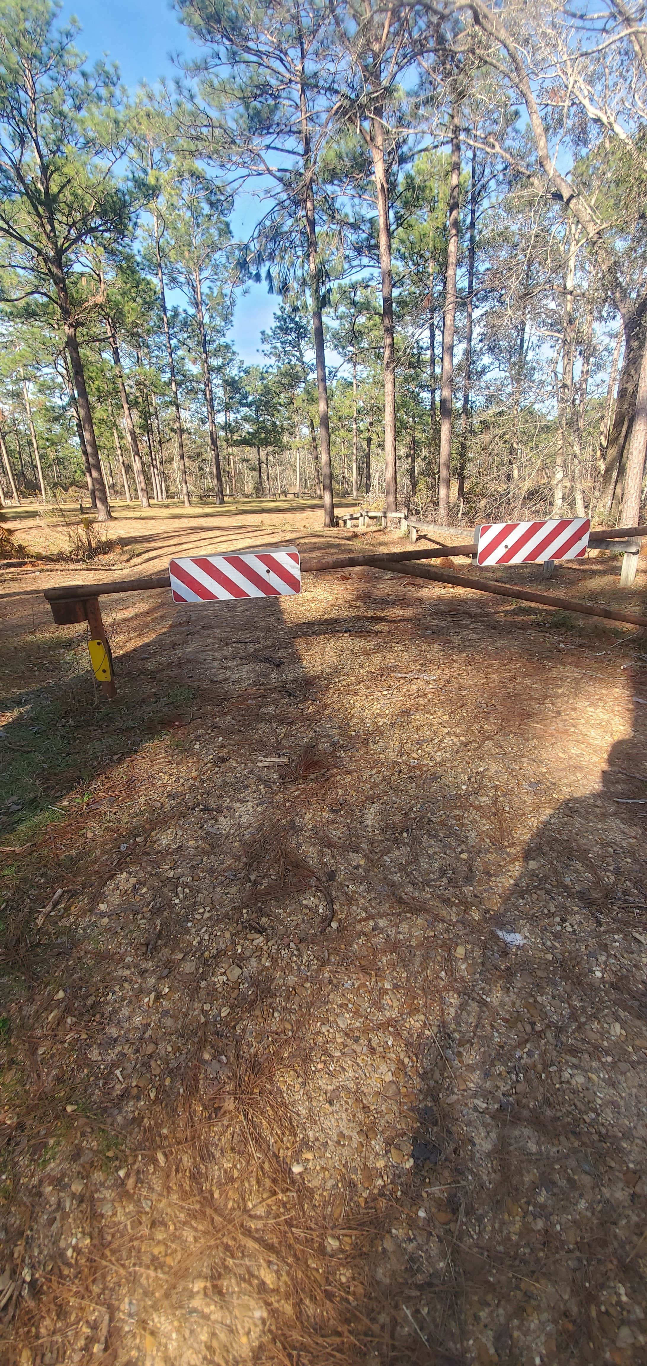 Camper-submitted photo at Airey Lake Recreation Area in Mississippi