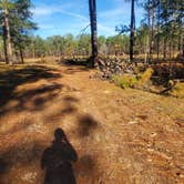 Review photo of Airey Lake Recreation Area by richard C., December 23, 2020