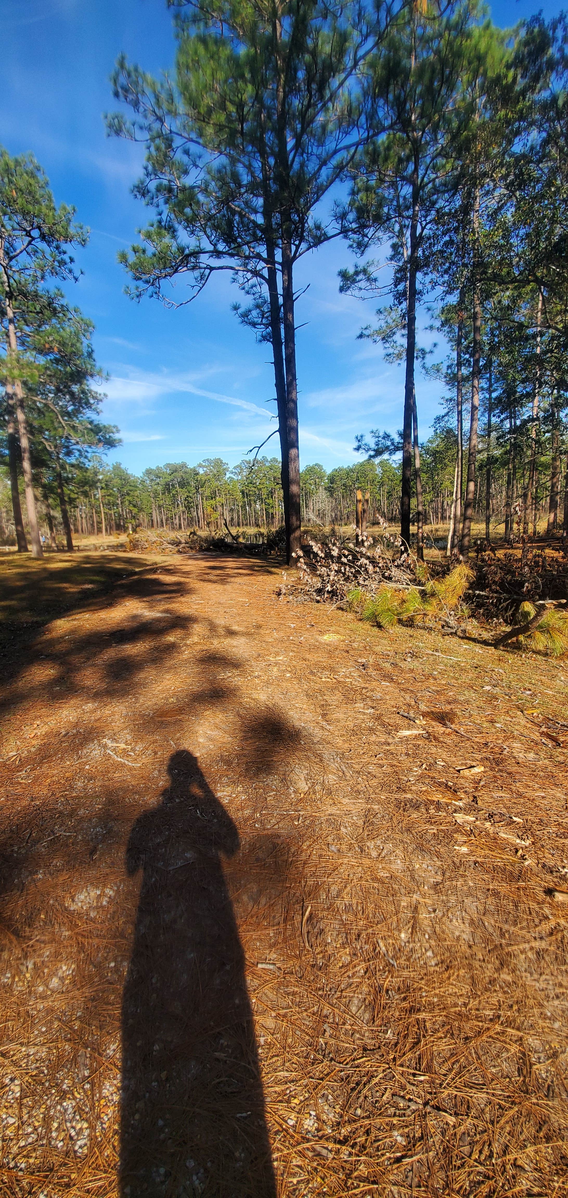 Camper submitted image from Airey Lake Recreation Area - 4