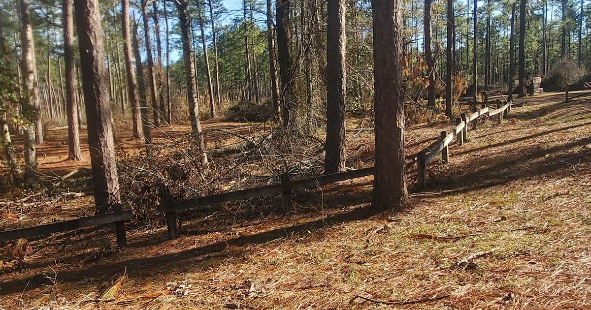 Airey Lake Recreation Area The Dyrt