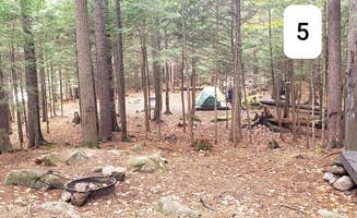 Jean C.'s photo of tent camping at Sawyer Pond near Alton, NH