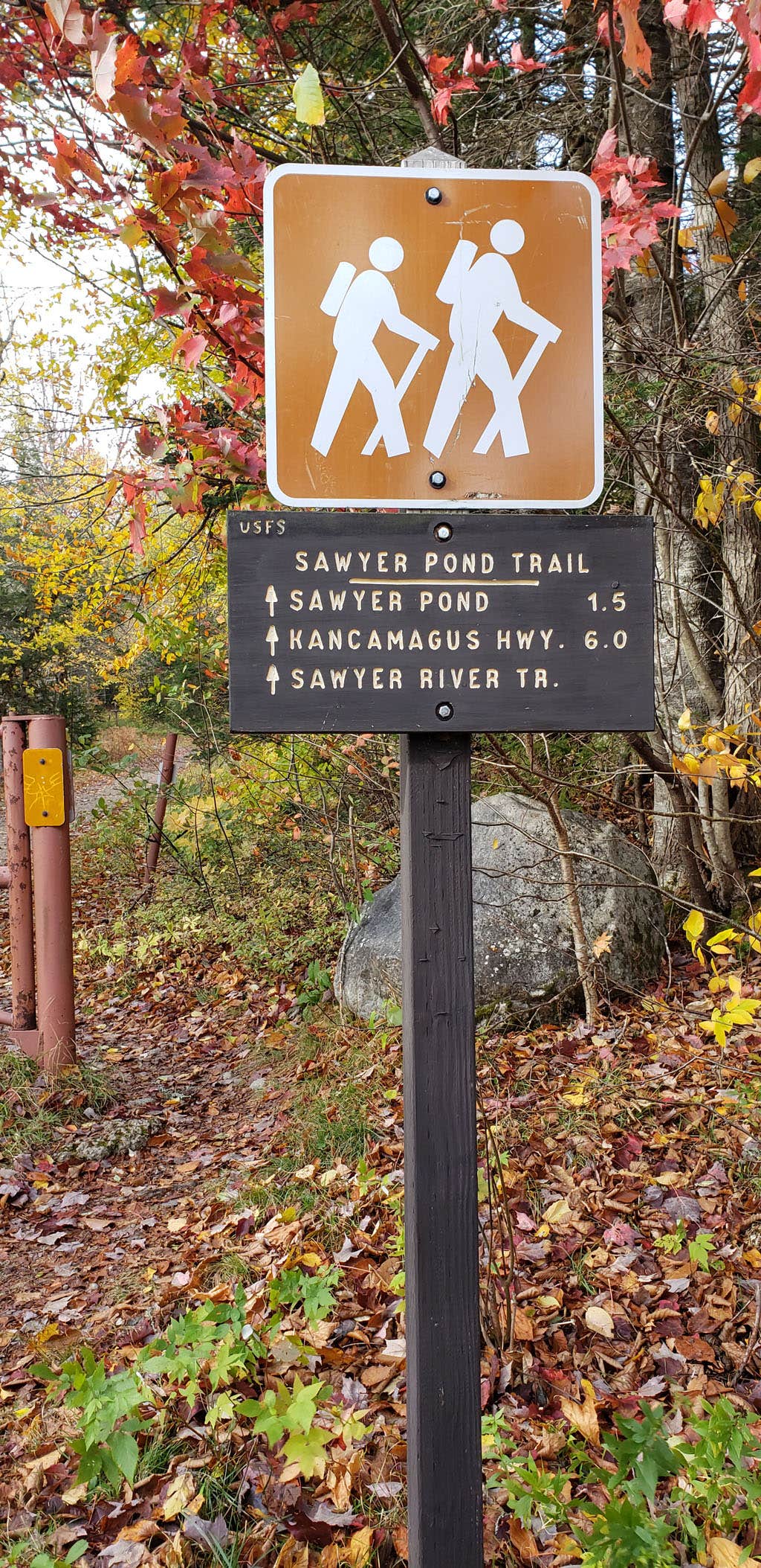 Sawyer Pond: A special place in the mountains, Hiking News