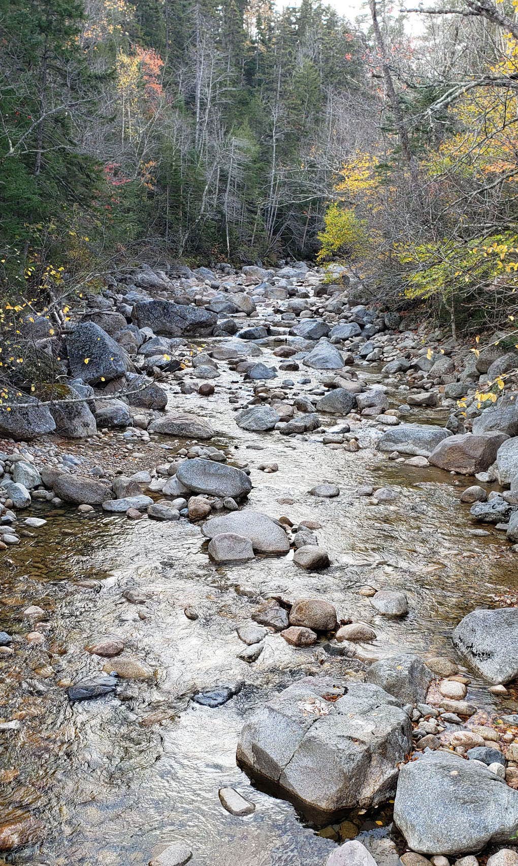 Camper-submitted photo at Sawyer Pond near Belmont, NH