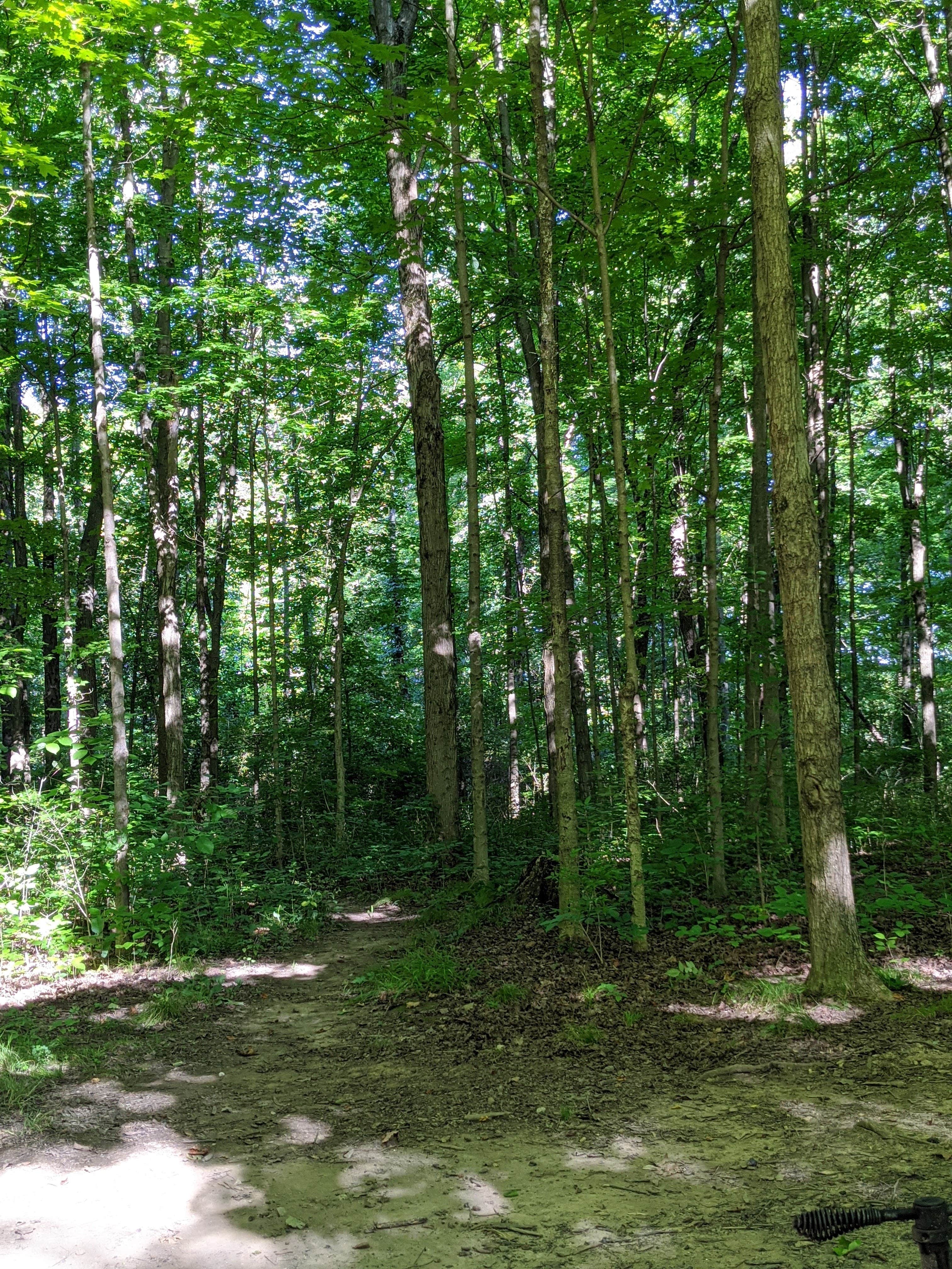 Camper-submitted photo at Delaware State Park Campground near Lockbourne, OH