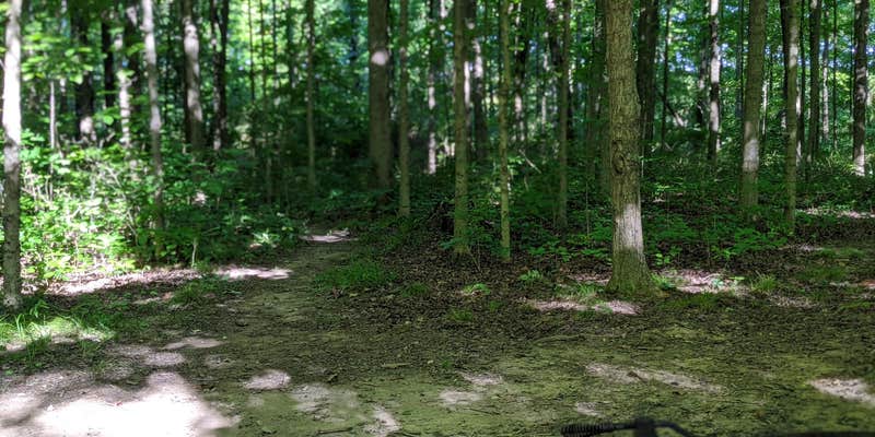 Camper submitted image from Delaware State Park Campground