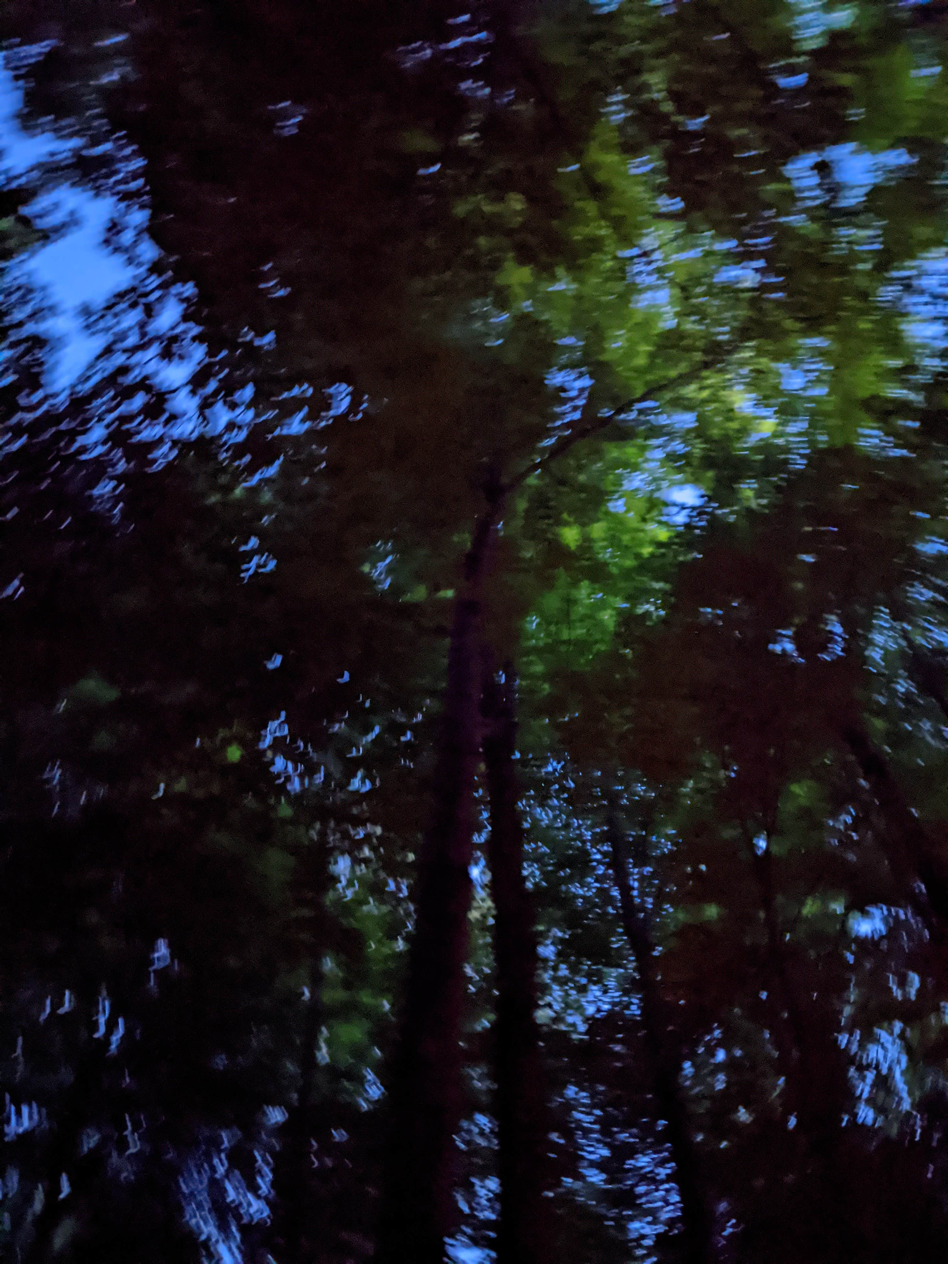 Camper-submitted photo at Delaware State Park Campground near Lockbourne, OH