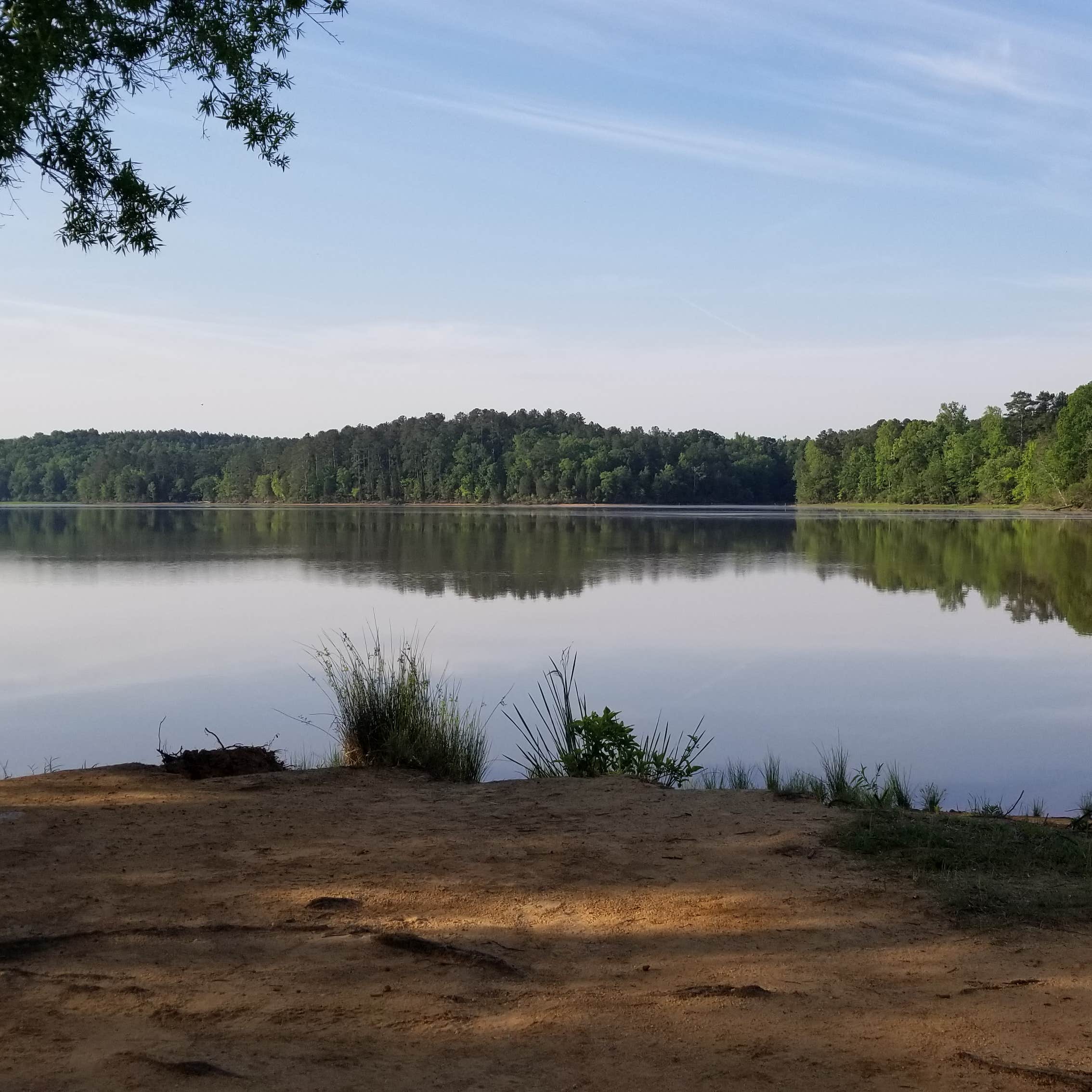 Chester State Park Camping | Chester, SC | The Dyrt