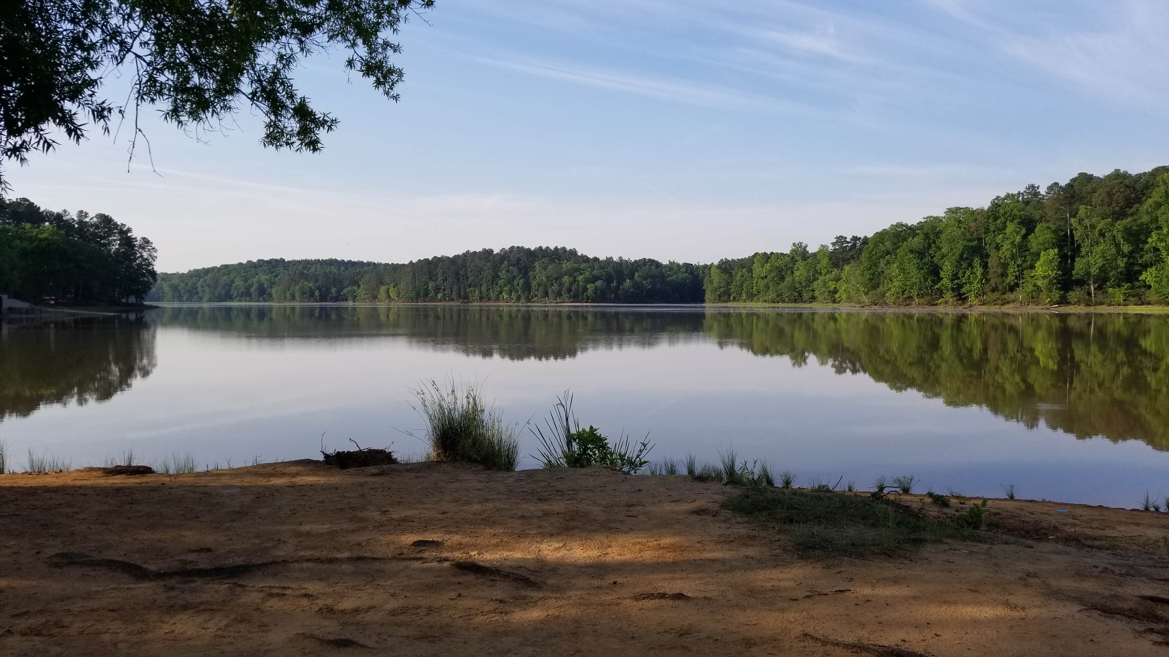 Camper submitted image from Chester State Park Campground - 3