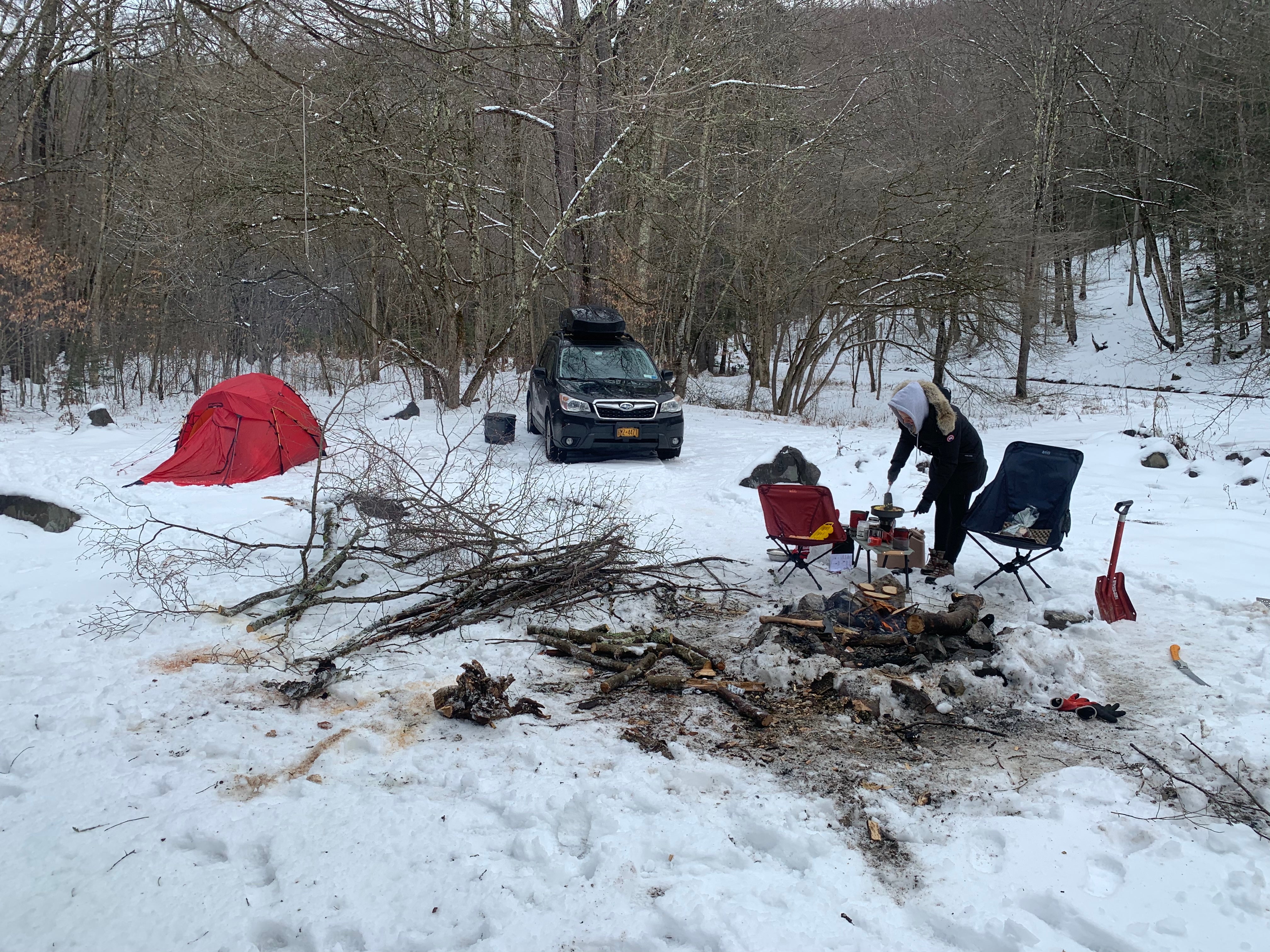 Camper submitted image from Gandy Creek Dispersed Camping - 1