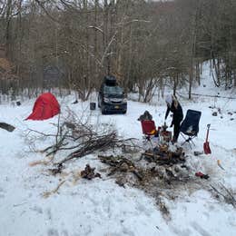 Gandy Creek Dispersed Camping