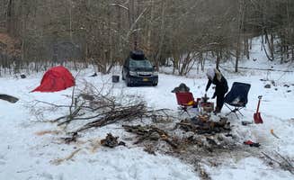 Justin L.'s photo at Gandy Creek Dispersed Camping near Glady, WV