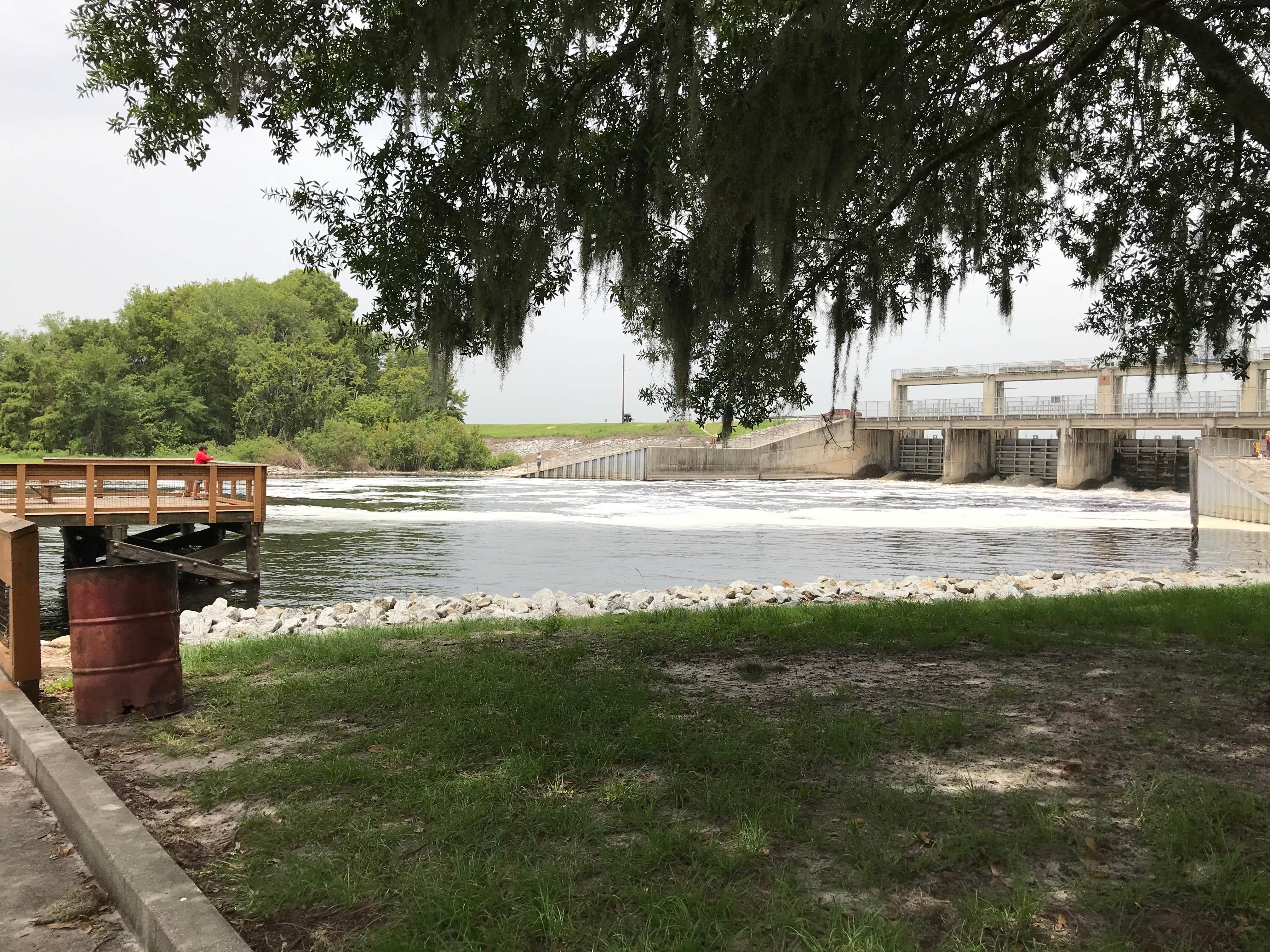 Camper-submitted photo at Rodman Campground near Ocala National Forest