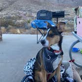 Review photo of Franklin Mountains State Park Campground by Rebecca O., December 23, 2020