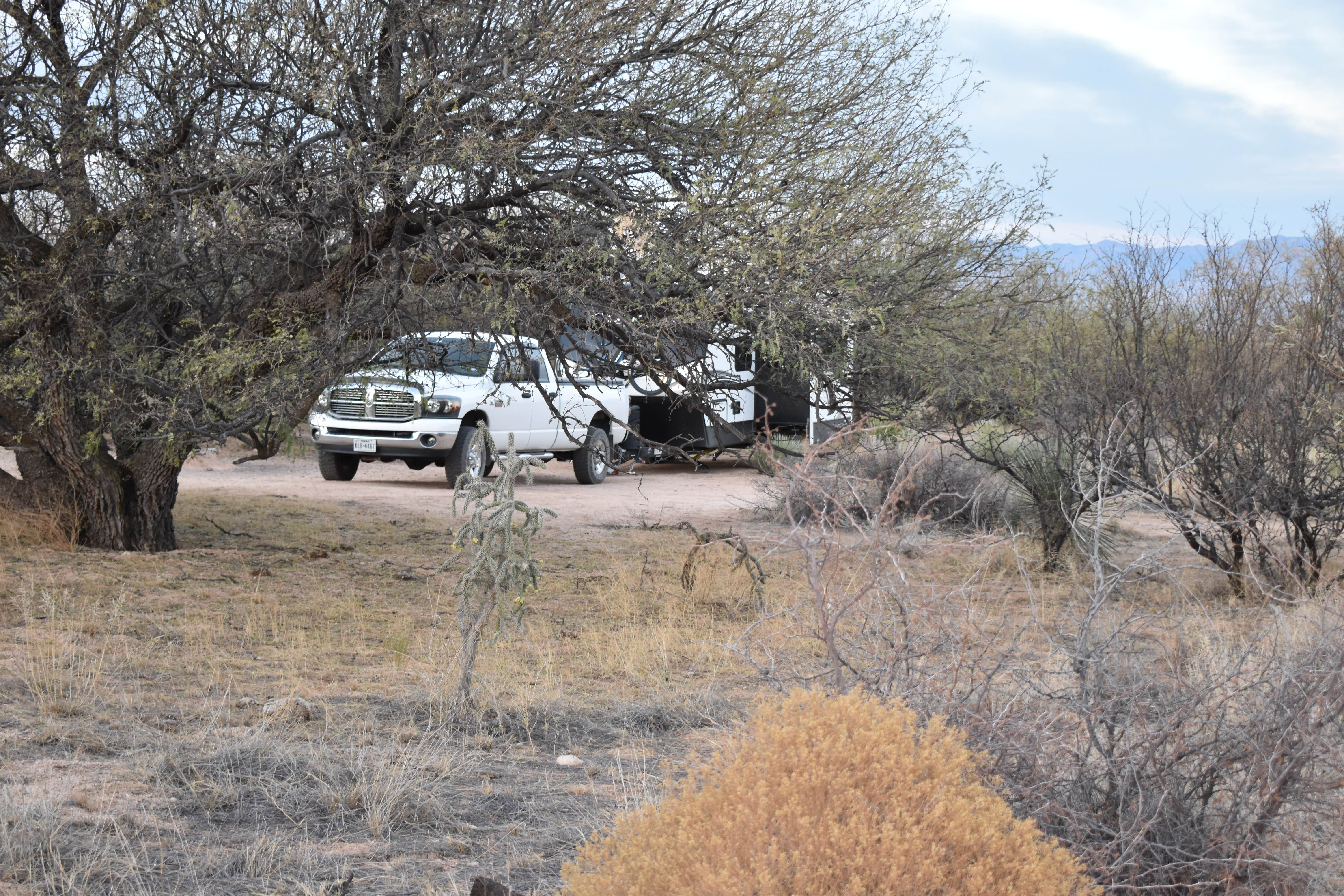 Camper-submitted photo at Dragoon Mountains near Tombstone, AZ