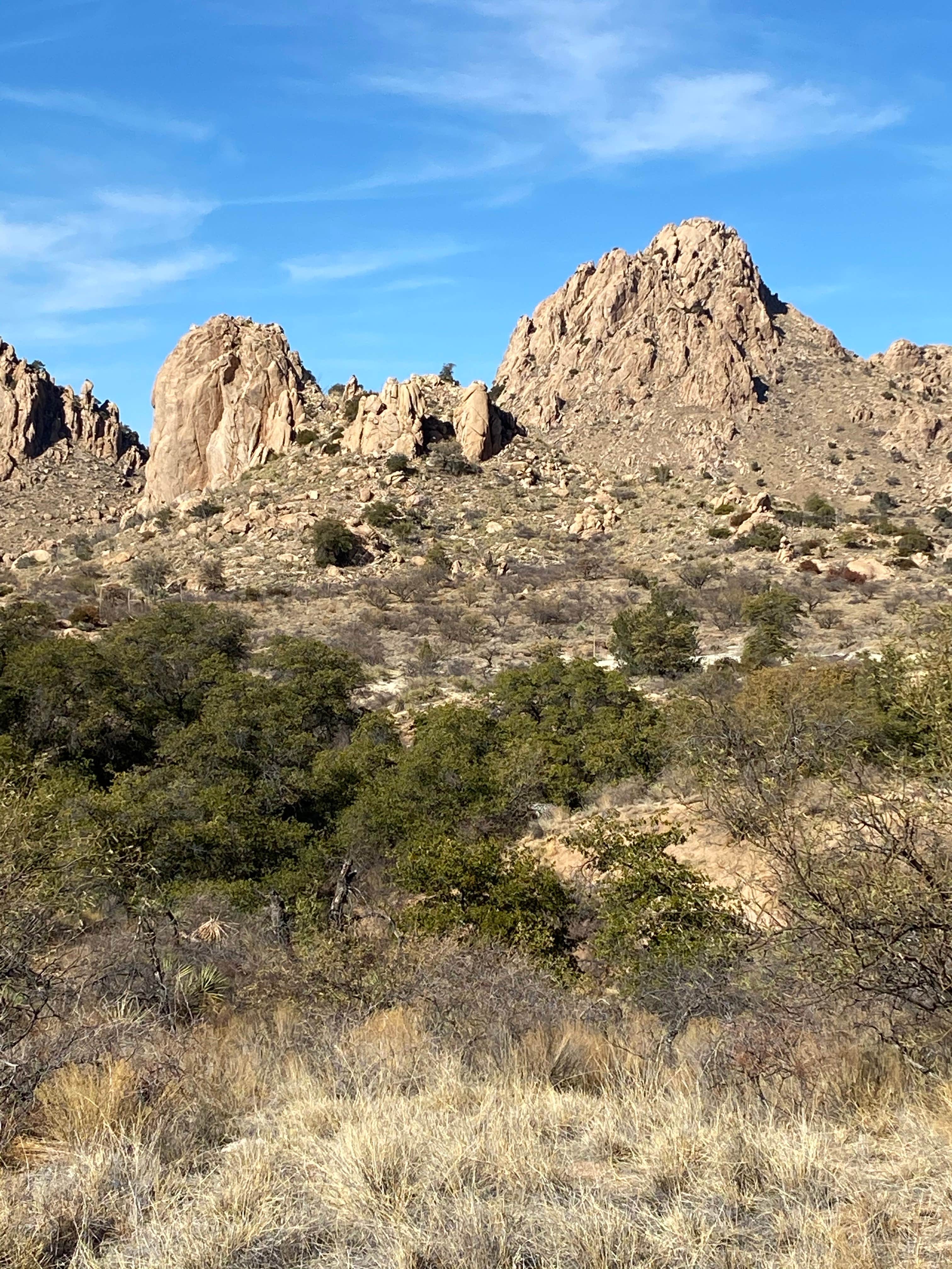 Camper-submitted photo at Dragoon Mountains near Tombstone, AZ