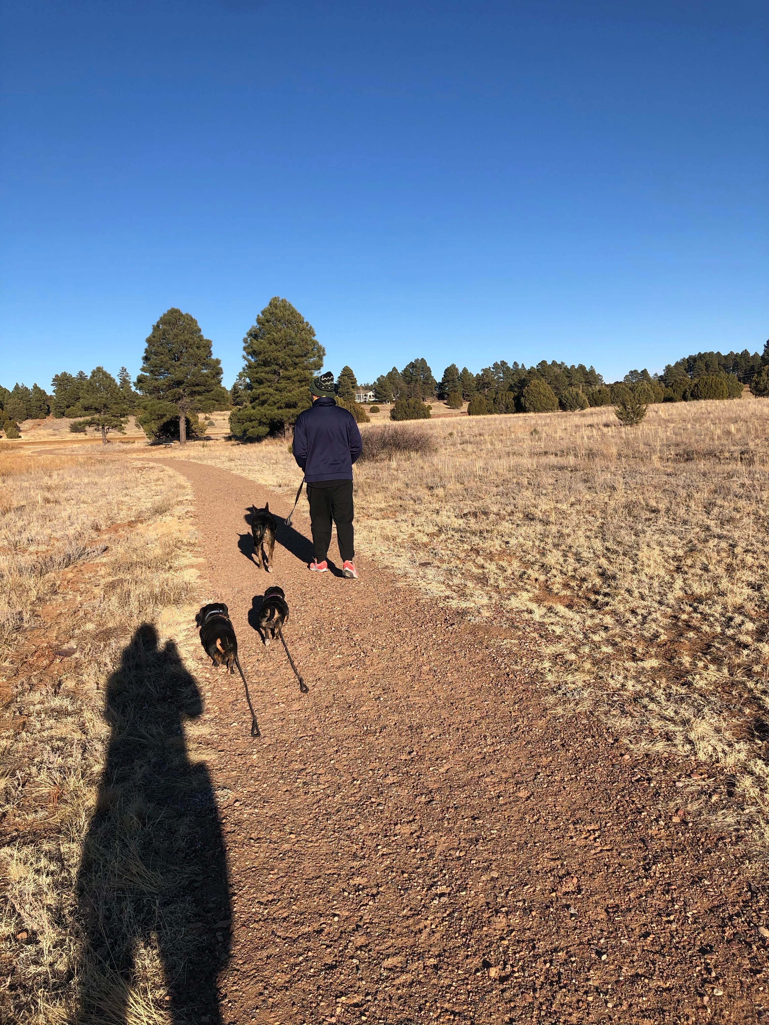 Camper-submitted photo at Fool Hollow Lake Recreation Area Campground near McNary, AZ
