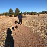 Review photo of Fool Hollow Lake Recreation Area Campground by Matt H., December 24, 2020