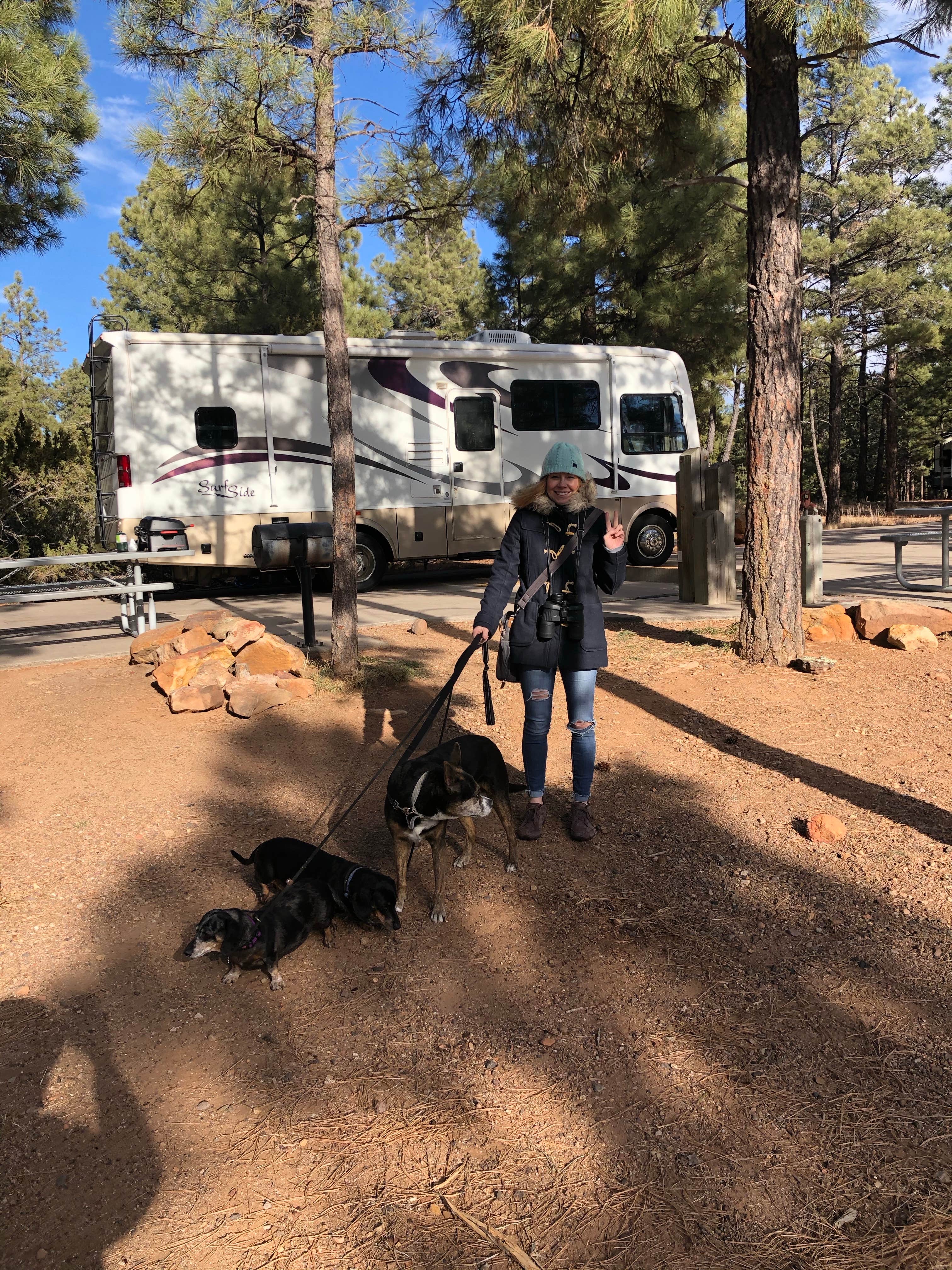 Camper-submitted photo at Fool Hollow Lake Recreation Area Campground near McNary, AZ