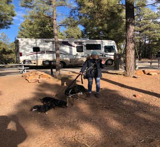 Camper-submitted photo from Fool Hollow Lake Recreation Area Campground