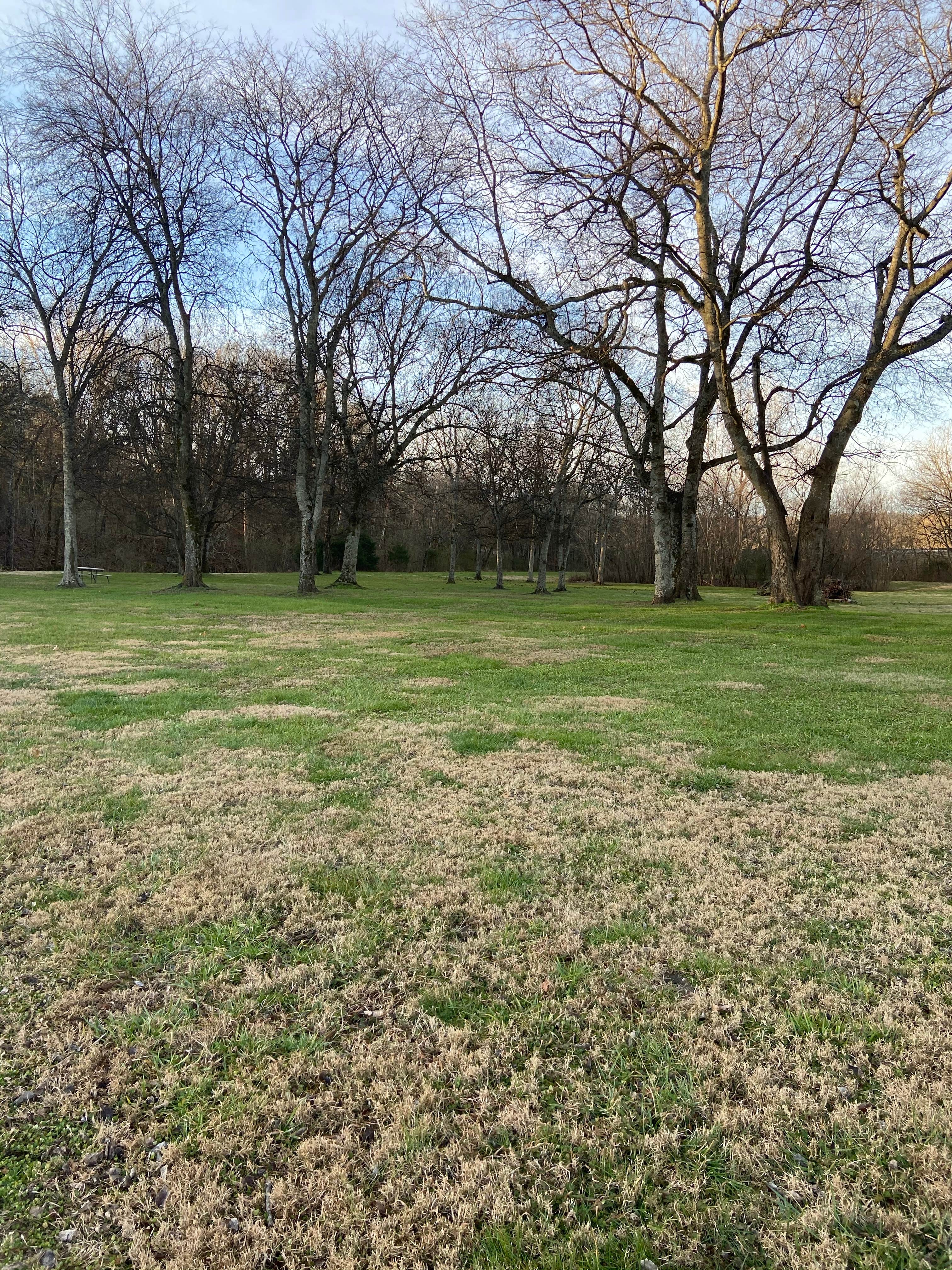 Camper-submitted photo at Stoney Creek Travel Park near Spring Hill, TN