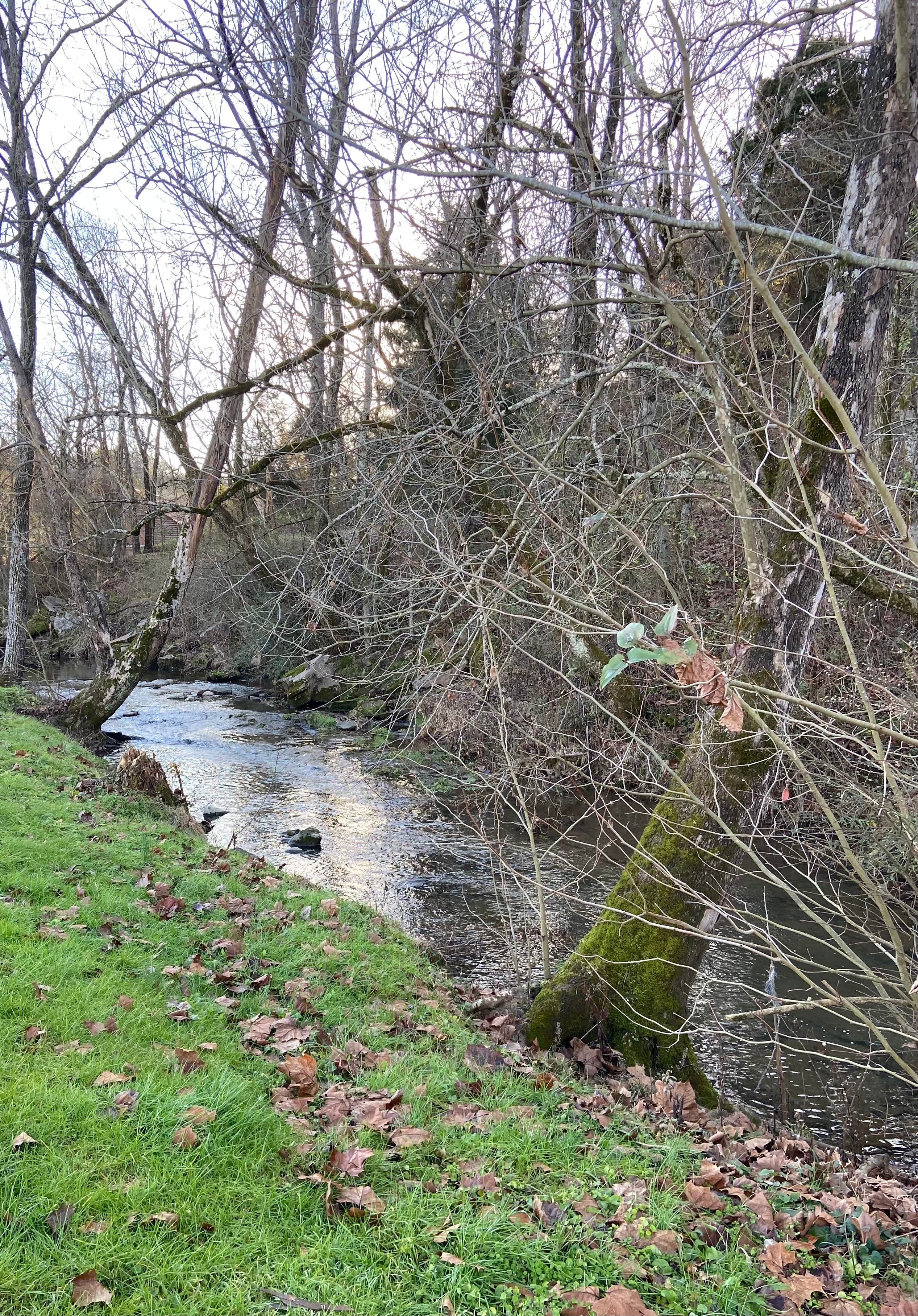 Water