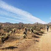 Review photo of McDowell Mountain Regional Park by Janet  M., December 24, 2020