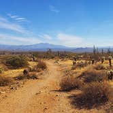 Review photo of McDowell Mountain Regional Park by Janet  M., December 24, 2020