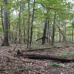 O'Bannon Woods State Park Campground