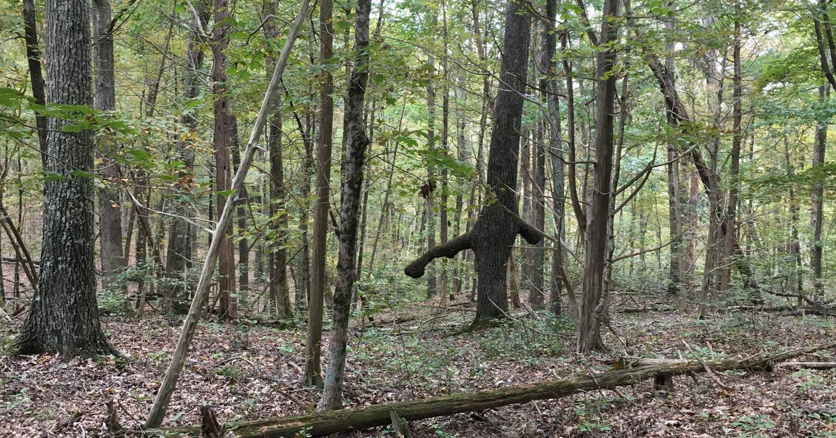 Otter Creek Park Campground