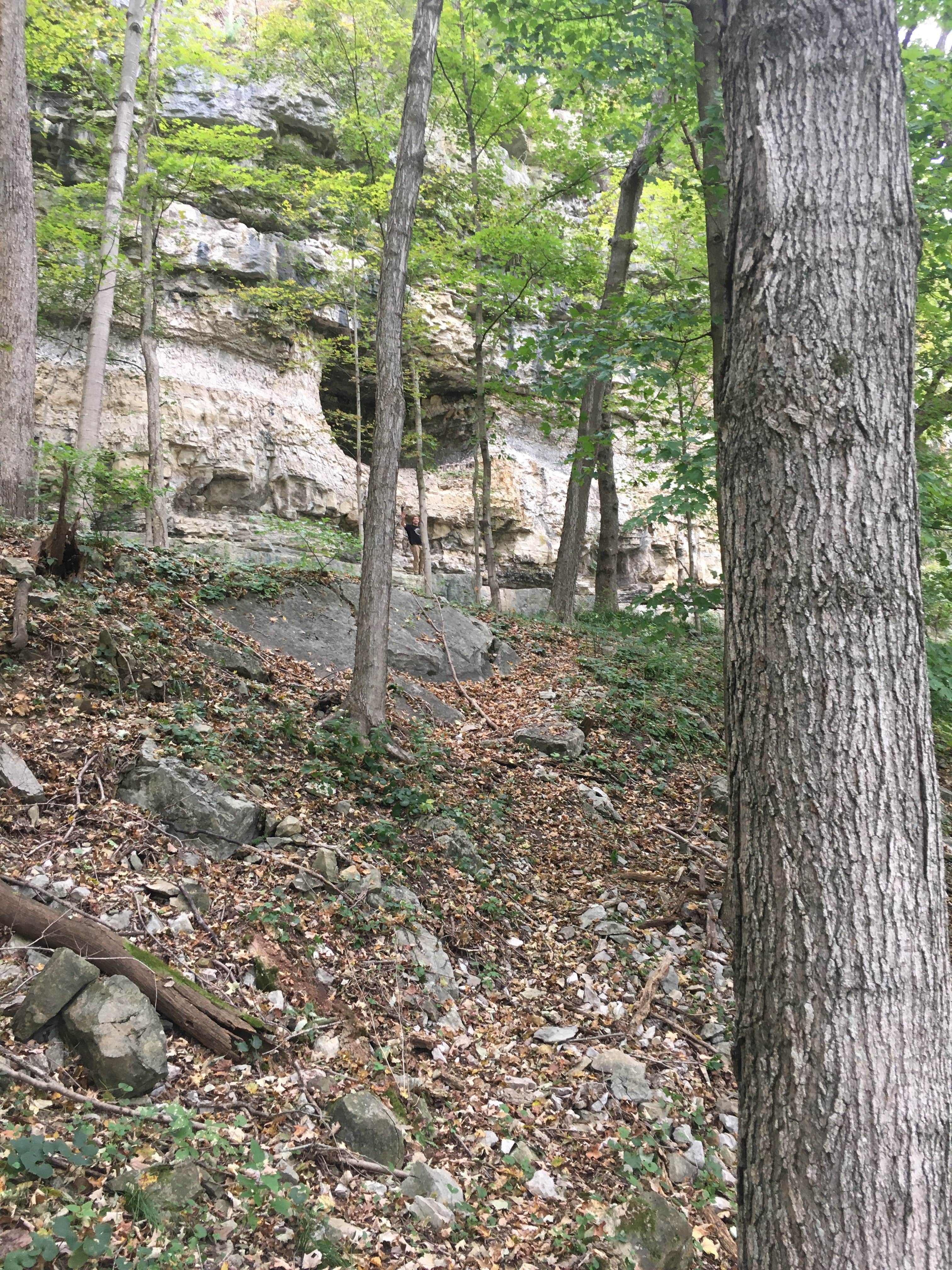 Camper-submitted photo at O'Bannon Woods State Park Campground near Union Star, KY