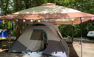 Martha S.'s photo at COE W Kerr Scott Reservoir Bandits Roost Campground near Traphill, NC