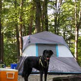 Review photo of COE W Kerr Scott Reservoir Bandits Roost Campground by Martha S., December 24, 2020