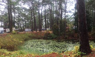 Camping near Sand Pond Campground - Pine Log State Forest: Raccoon River Campground, Panama City Beach, Florida