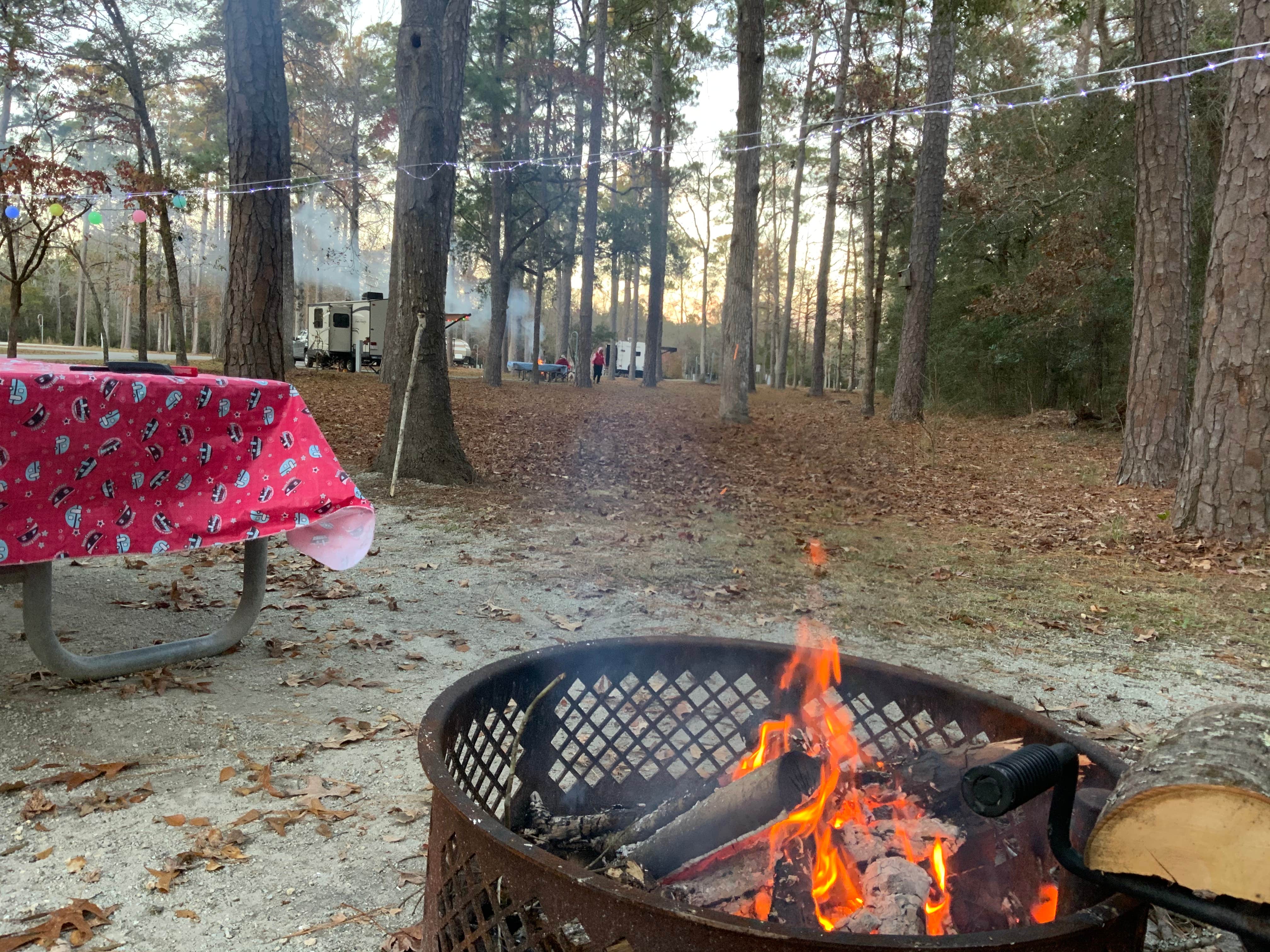 Martha S.'s photo at Cedar Point Campground near Emerald Isle, NC