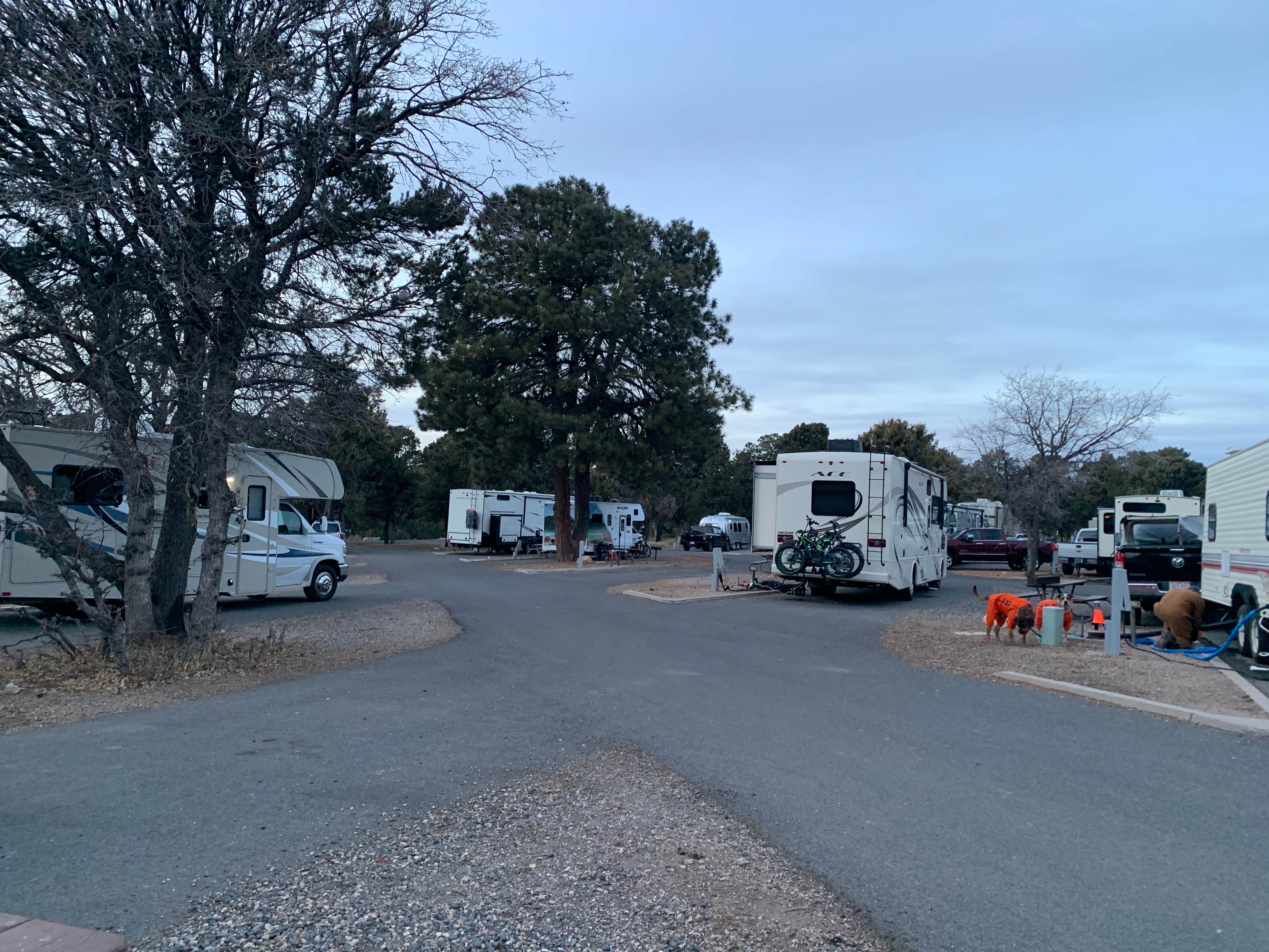 Camper-submitted photo at Trailer Village RV Park — Grand Canyon National Park near Cameron, AZ
