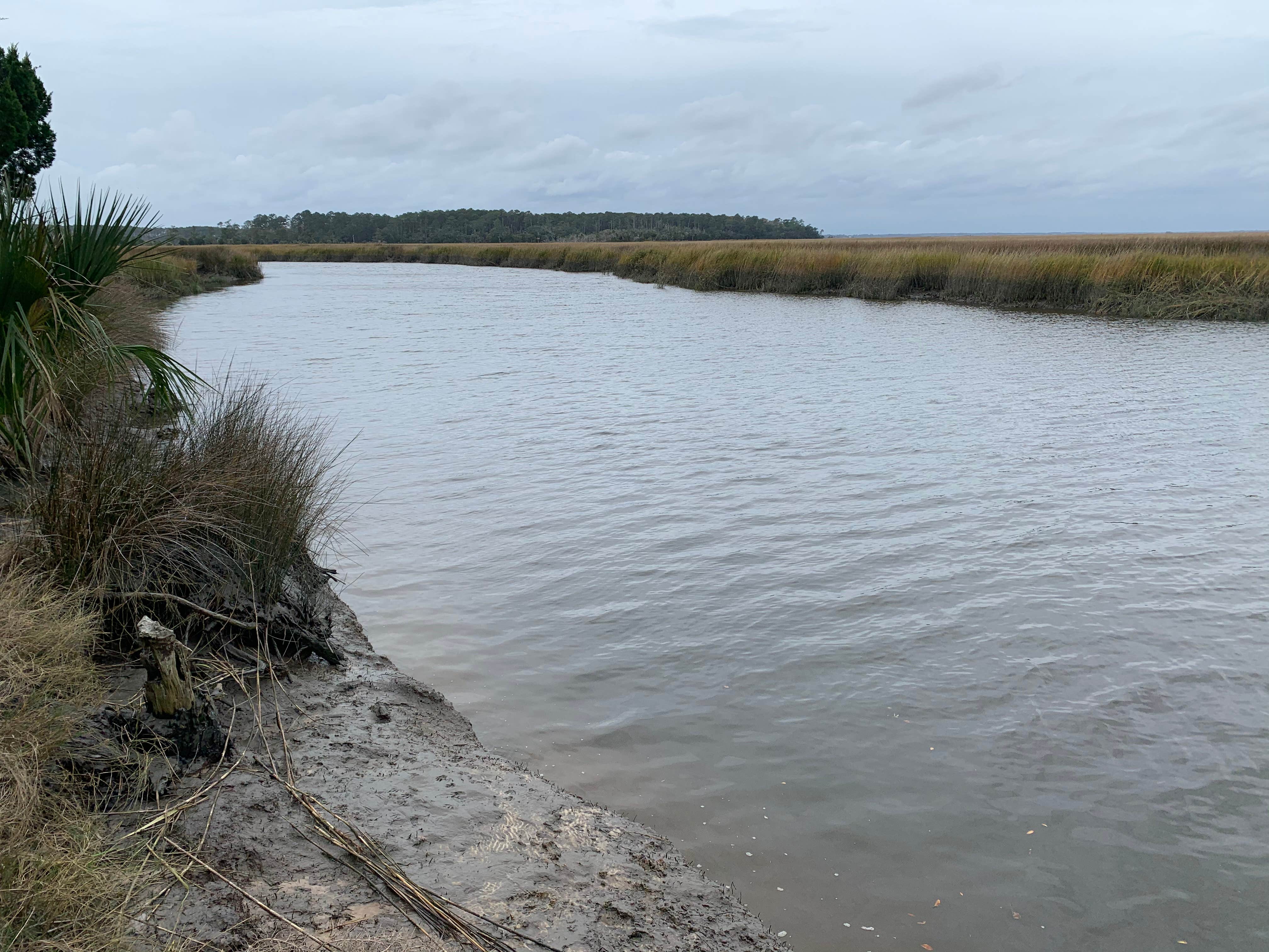 Camper-submitted photo at Fort McAllister State Park Campground in Georgia