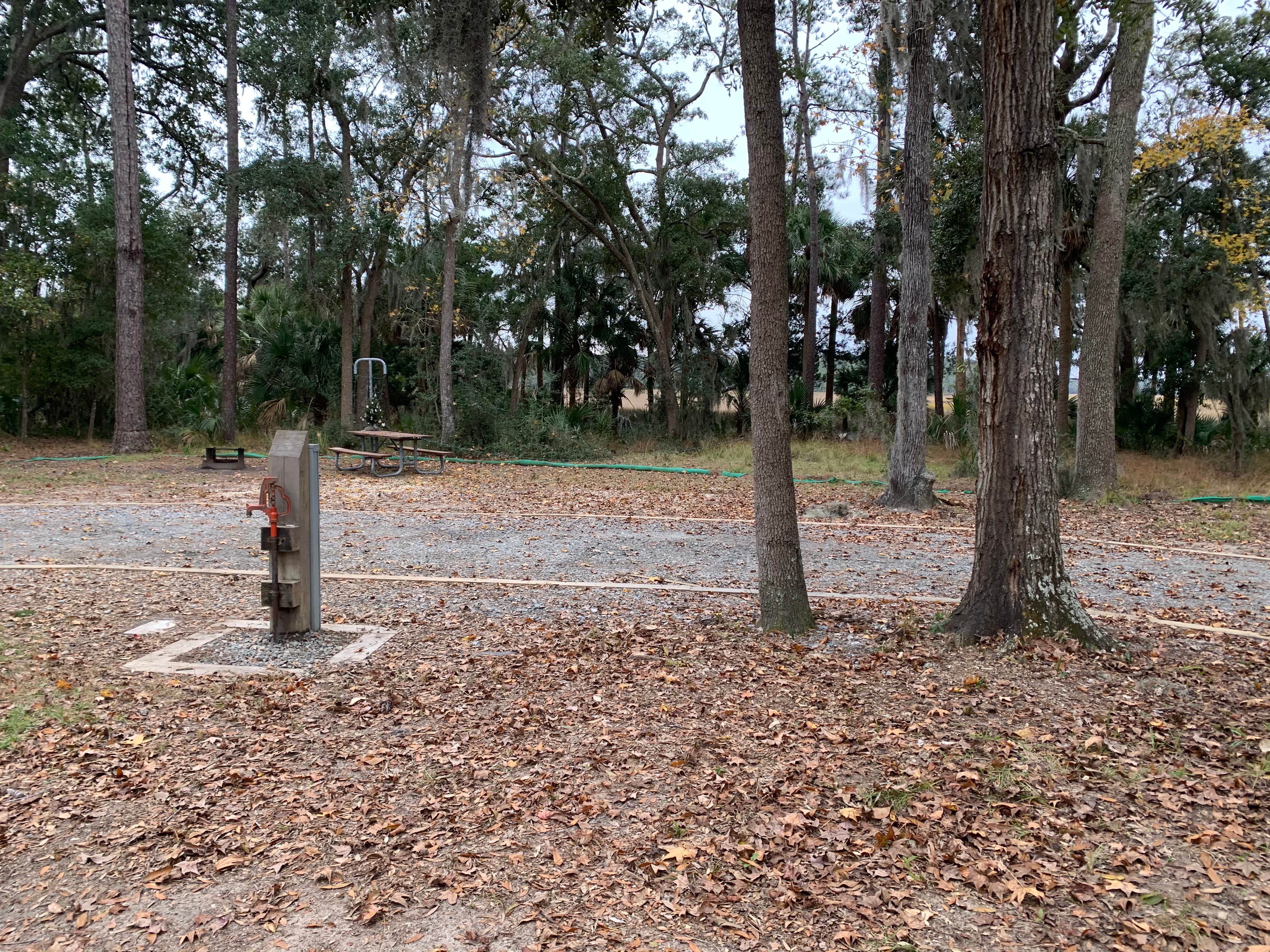 Camper-submitted photo at Fort McAllister State Park Campground in Georgia