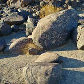 Review photo of Painted Rock Petroglyph Site And Campground by M W., December 25, 2020