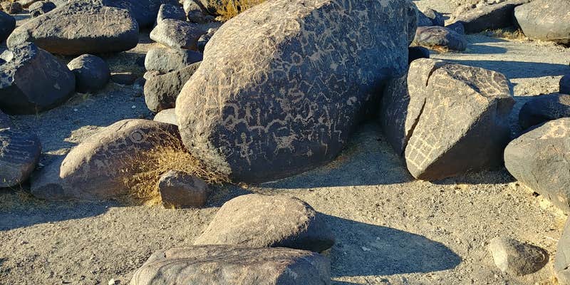 Camper submitted image from Painted Rock Petroglyph Site And Campground