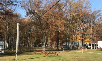 Camping near Pettit Park Campground: Harrison RV Family Campground (previously Camp Withii), Farwell, Michigan