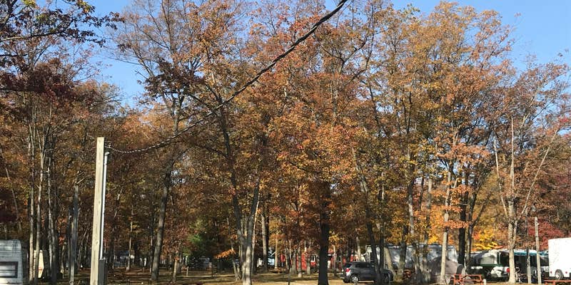 Camper submitted image from Harrison RV Family Campground (previously Camp Withii)