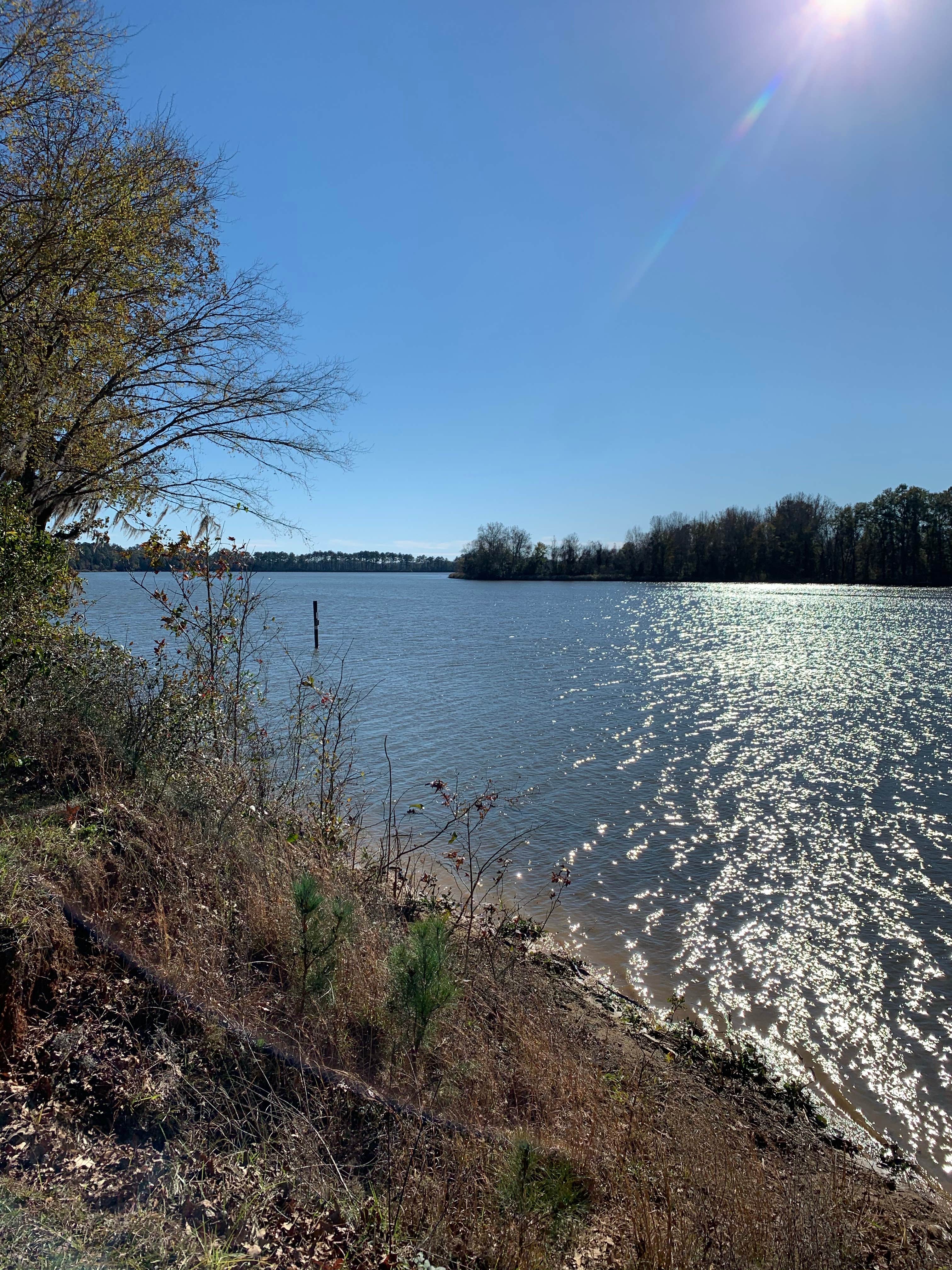Camper-submitted photo at Florence Marina State Park Campground near Opelika, AL