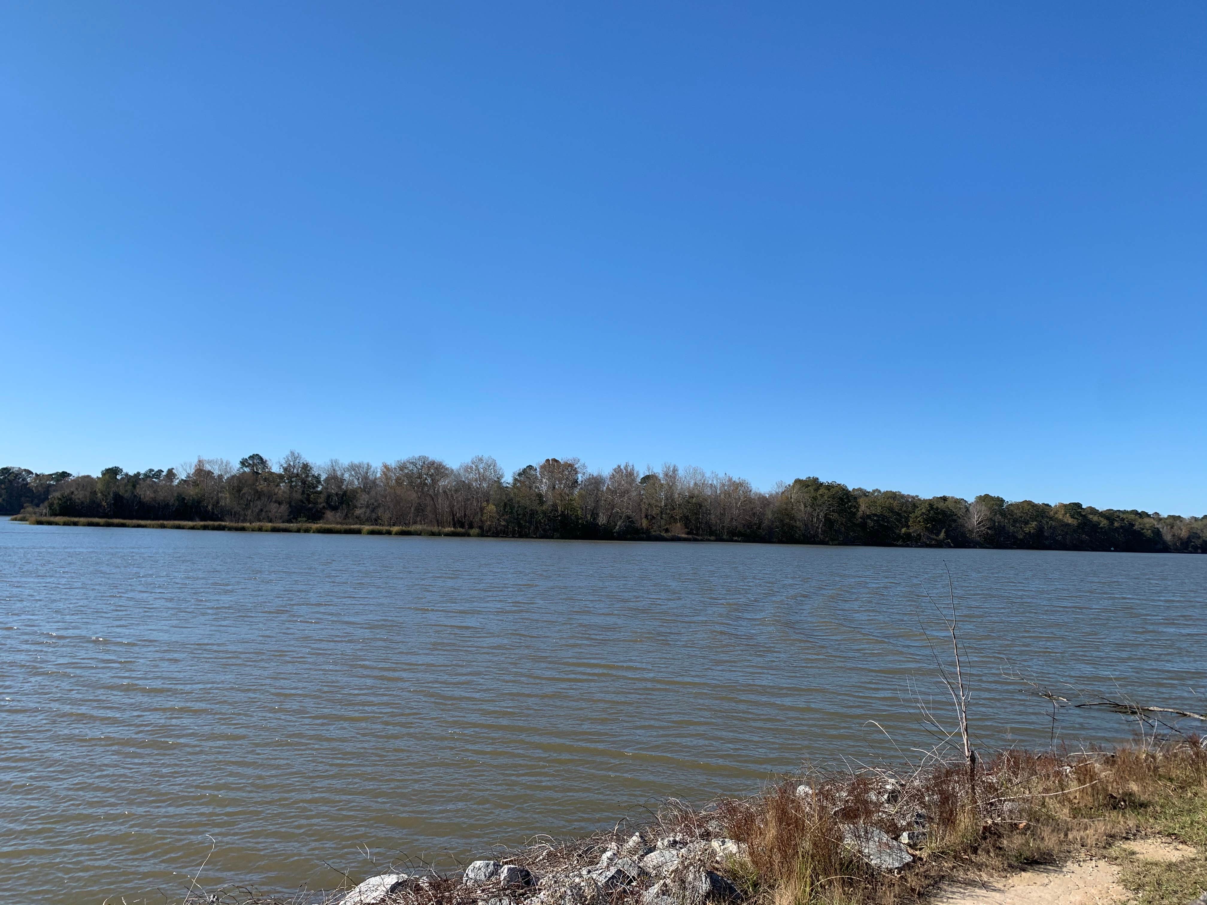 Camper-submitted photo at Florence Marina State Park Campground near Opelika, AL