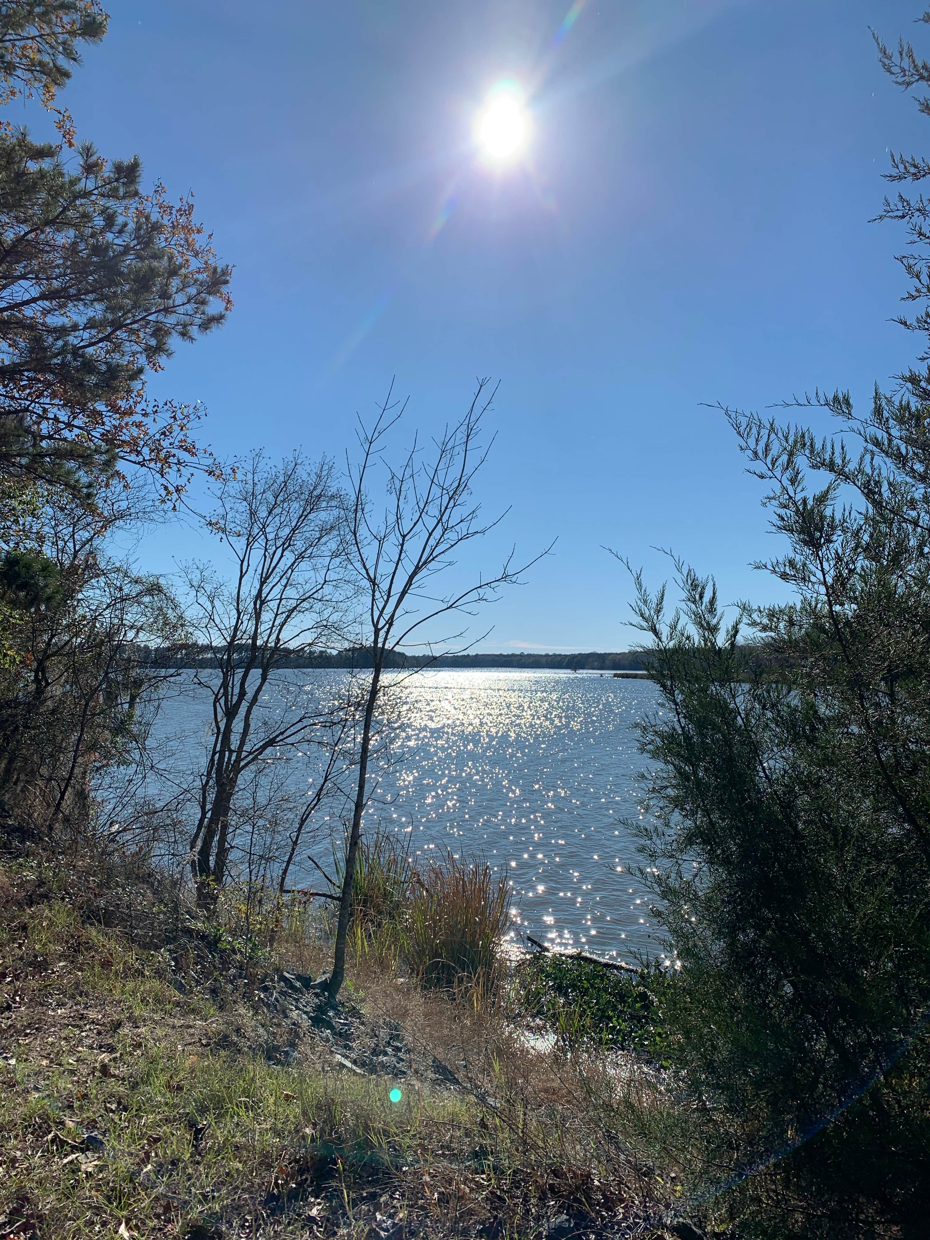 Camper-submitted photo at Florence Marina State Park Campground near Opelika, AL