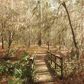 Review photo of Sam Houston National Forest Cagle Recreation Area by Tim H., December 9, 2020