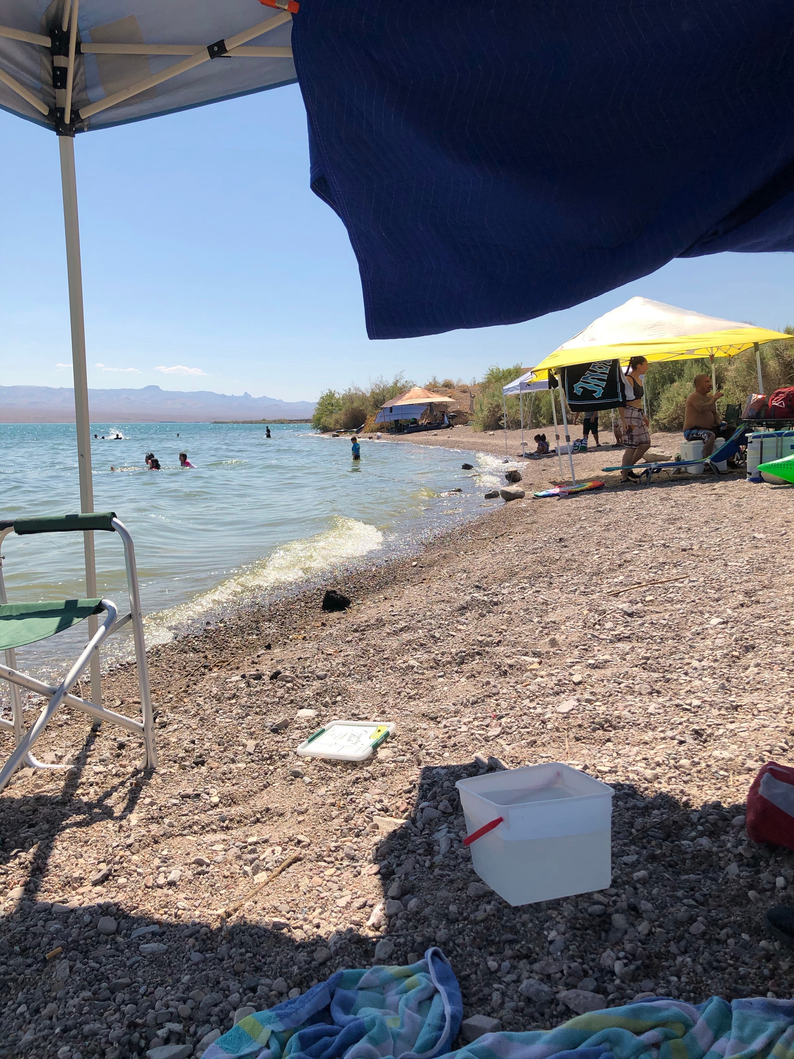 Camper submitted image from Six Mile Cove — Lake Mohave - 4