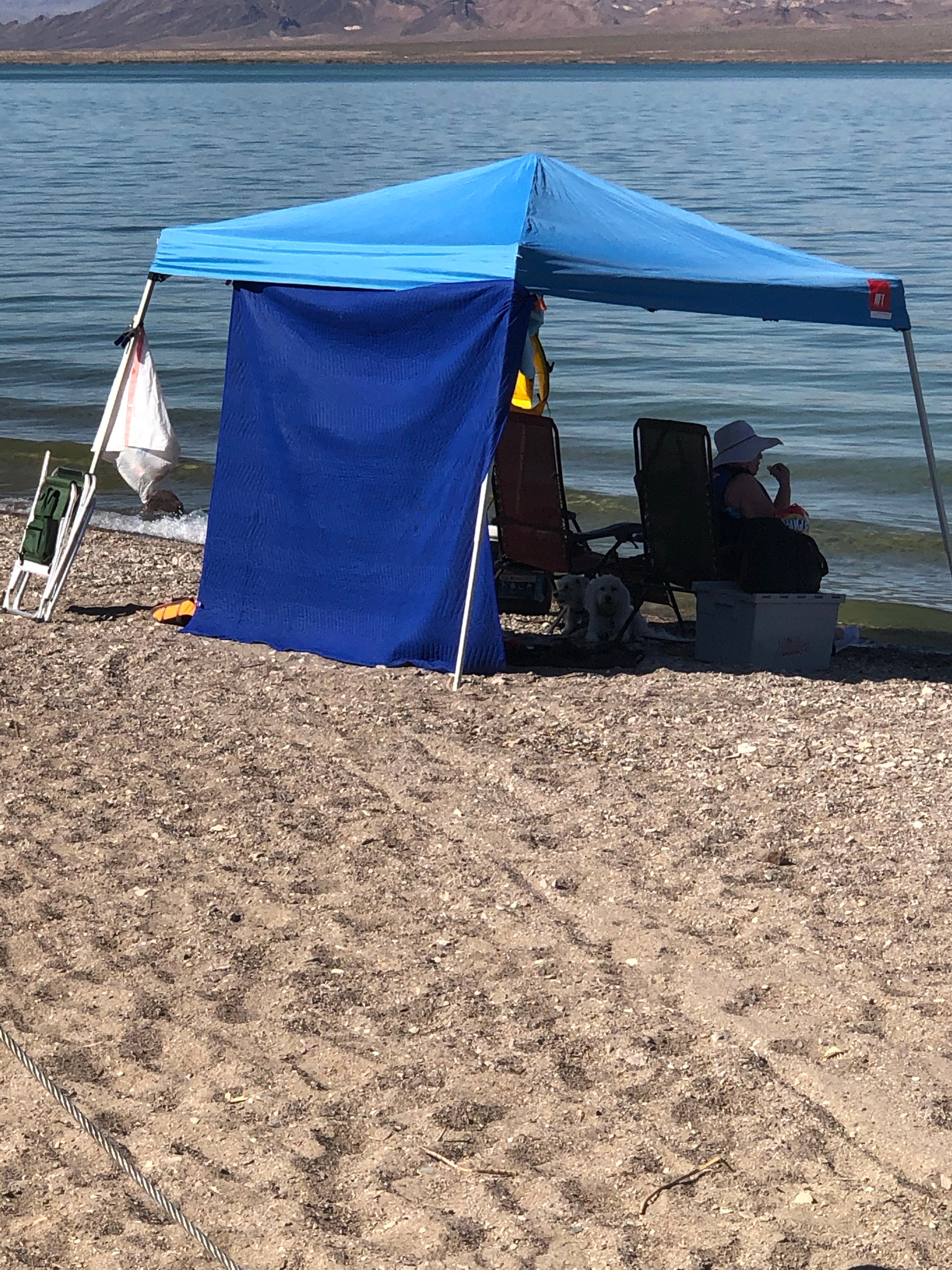 Camper submitted image from Six Mile Cove — Lake Mohave - 3